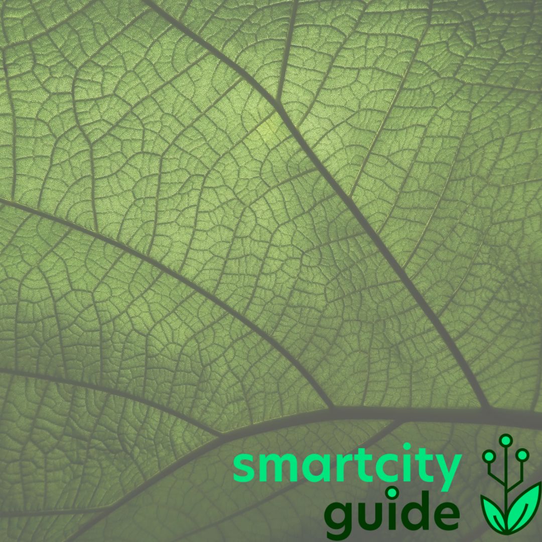 Grünes Blatt in Nahaufnahme mit Smart City Guide Logo in der unteren rechten Ecke.