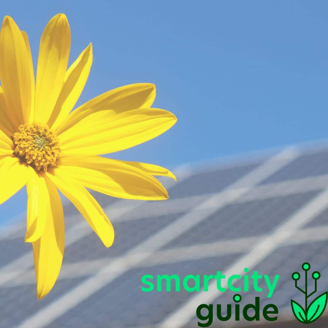 Gelbe Blume und Solarzellen unter blauem Himmel mit "smartcity guide" Logo unten rechts.